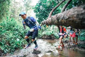 BIB: 
                            <button type="button" onclick="openModal(25372847)" class="btn btn-primary btn-sm float-right btn-popup" data-toggle="modal" data-target=".modal-high-quality">
                        <i class="fas fa-shopping-cart"></i> Add to Cart
                    </button>
                                            <button type="button" onclick="isThisMe(25372847, true)" class="btn btn-success btn-sm float-right btn-popup btn-isme hidden" data-toggle="tooltip" data-placement="bottom" title="นี่คือรูปของคุณใช่ไหม คลิกที่นี่เพื่อเอาเข้าอัลบั้ม">
                        <i class="fas fa-plus"></i> Add to album
                    </button>
                    <button type="button" onclick="isThisMe(25372847, false)" class="btn btn-warning btn-sm float-right btn-popup btn-isnotme hidden">
                        <i class="fas fa-ban"></i> Remove from album
                    </button>